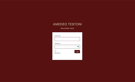Sito web Amedeo Testoni